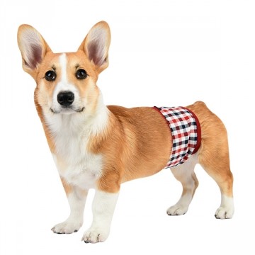 Puppia Neil Plasband / Manner Band Wine