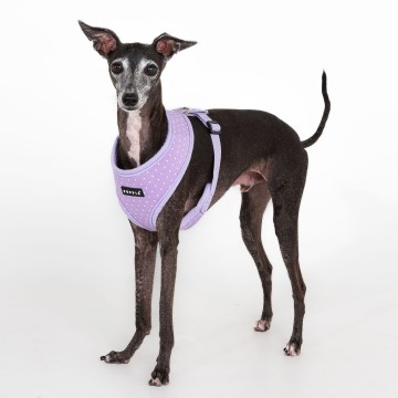 Puppia soft harness  honden tuigje model a dotty violet 2a
