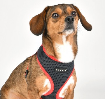 Puppia soft harness  honden tuigje model a nieuw grey 3