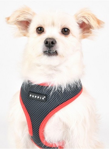 Puppia soft harness  honden tuigje model a nieuw grey 4