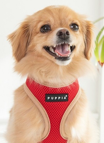 Puppia soft harness  honden tuigje model a nieuw red 5