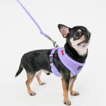 Puppia soft harness  honden tuigje model a violet 3