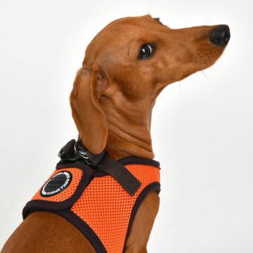 Puppia soft harness  honden tuigje model b nieuw orange 5