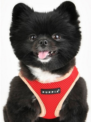 Puppia soft harness  honden tuigje model b nieuw red 4