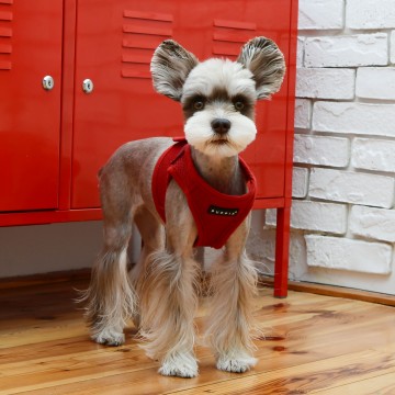 Puppia Soft Harness / Honden tuigje Model B Wine