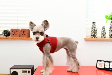 Puppia Soft Harness / Honden tuigje Model B Wine