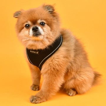 Puppia soft harness  honden tuigje pro reflector model a black 3