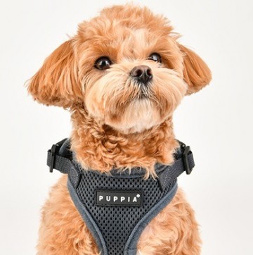 Puppia soft harness  honden tuigje ritefit model a grey 12