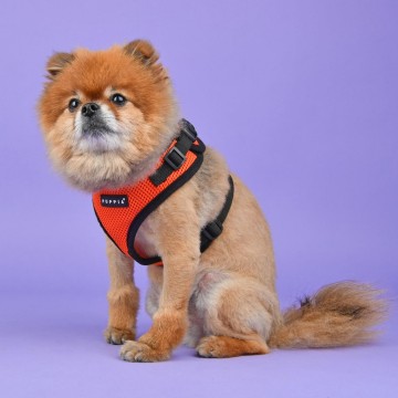Puppia soft harness  honden tuigje ritefit model a orange 21