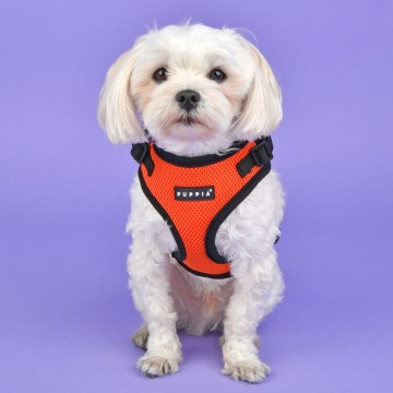 Puppia soft harness  honden tuigje ritefit model a orange 22