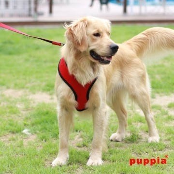 Puppia Soft Harness / Honden tuigje Model A Red
