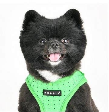 Puppia soft harness  hondentuigje bonnie model b orange 6