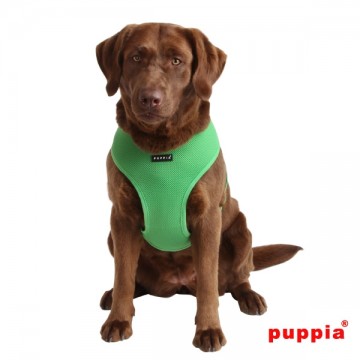 Puppia Soft Harness / Hondentuigje Model A Green