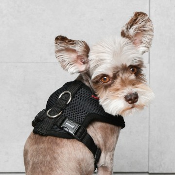 Puppia soft harness  hondentuigje model e black 3