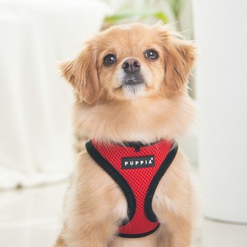 Puppia soft harness  hondentuigje model e red 31