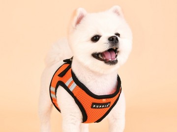 Puppia soft harness  hondentuigje pro reflector model b orange 3