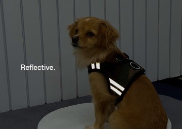 Puppia soft harness  hondentuigje pro reflector model b orange 5