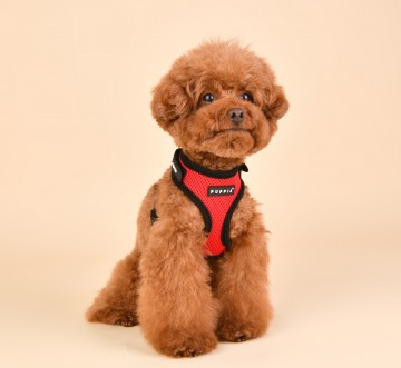 Puppia soft harness  hondentuigje superior model a red 3