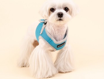 Puppia soft harness honden tuigje model b nieuw sky blue 5