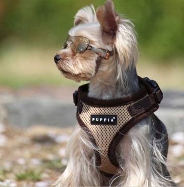 Puppia soft harness hondentuigje model a beige ritefit 11