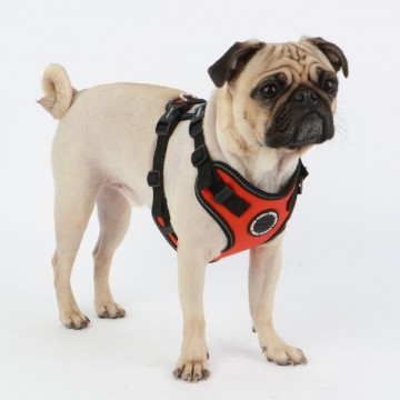 Puppia trek safety harness f red 2