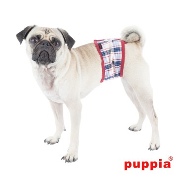 Puppia Vogue Plasband / Manner Band Beige