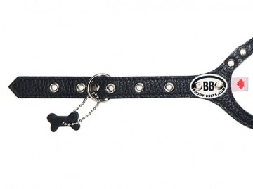Buddy Belts Premium black nieuw detail 2