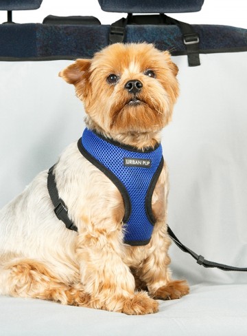 Urban Pup Autstoelhoes voor de achterbank