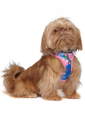 Urban Pup Hondentuig Pink / Blue Floral