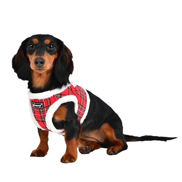 wenselijk Monica het winkelcentrum Puppia Harness / Hondentuigje Blitzen Model B Checkered Red - Feniksware