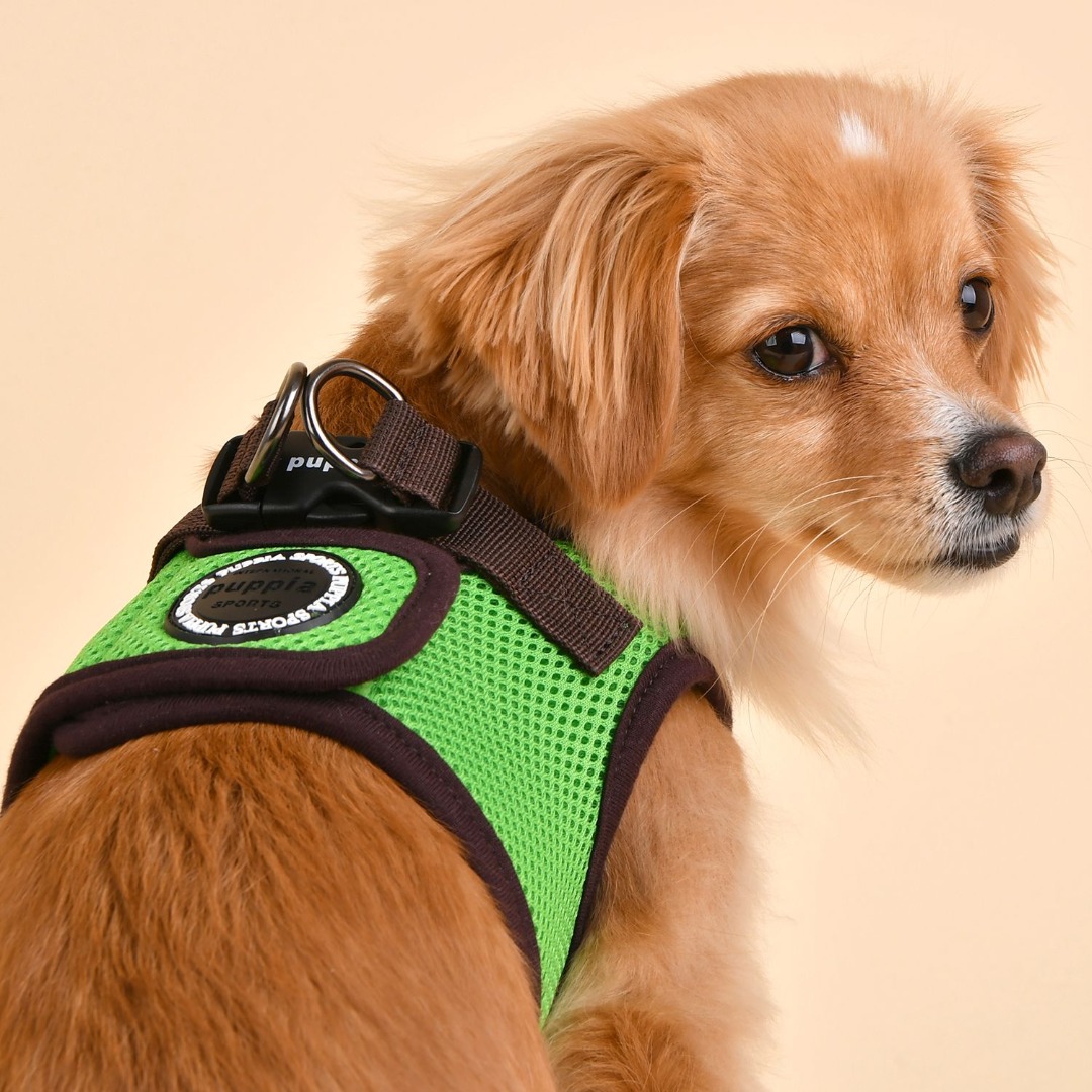 Mooie jurk Continent Uitsteken Puppia Soft Harness / Honden tuigje Model B Nieuw Green - Feniksware