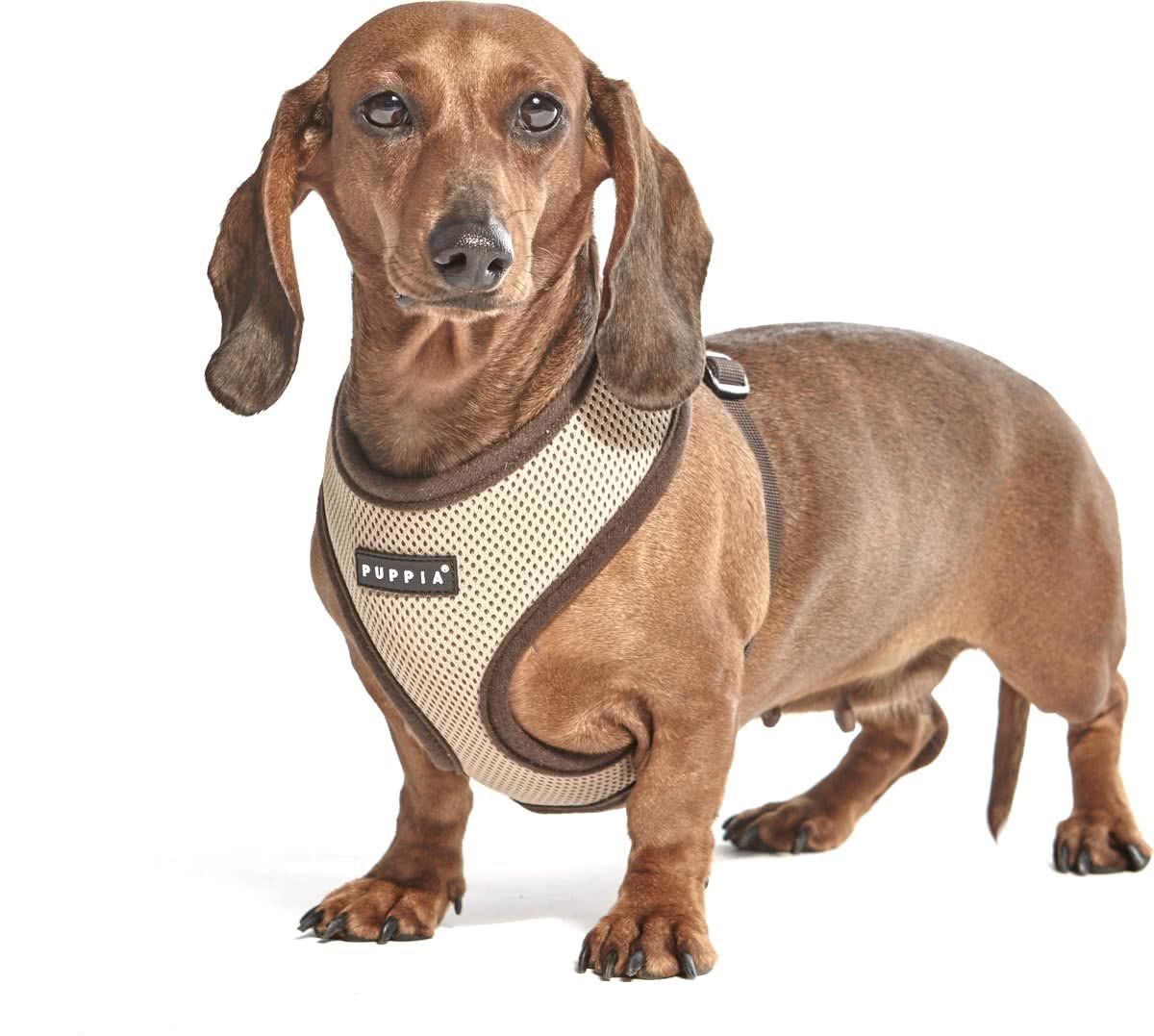 schetsen Binnenshuis Afstotend Puppia Hondentuigjes / Harness Model A - Feniksware